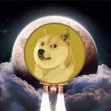 DogeXmoon