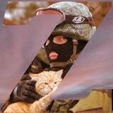 Тактический КотЪ Z