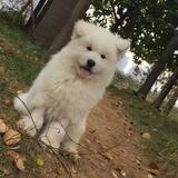 海航传媒推App项目群