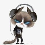 MusicCat中文社区