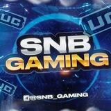 SNB GAMING (by CAIMAN