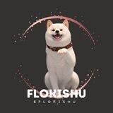 Flokishu $Flokishu | BSC