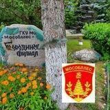 Бородинское лесничество