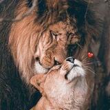 ᴍʏ ᴡᴏʀʟᴅ ﻋآلْـَﻤﭜ 💜💭