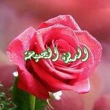 الدّين النّصيحة