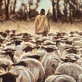 The Good Shepherd