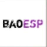 baoESP Tip