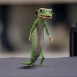 $GEICO Portal
