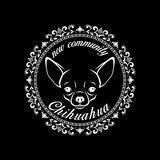 New Community Chihuahua