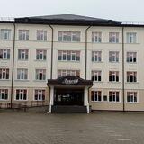 nartkalalicey1