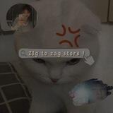 𝘡𝘐g 𝓣𝓞 𝘡𝚊𝐠 | open