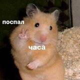 Студентла🏳️‍🌈