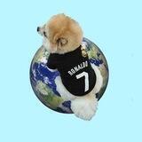 CR7WORLD INU