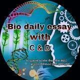 Bio daily essay with C & D