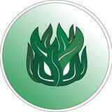 Kelp Network
