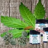 Erfolgreich Durchstarten kein Problem Mit CBD