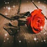 "🥀مـْـْْـْوُجــوُعٌ قٌــلُـِـِِـِِِـِِـِـبـٌـٌٌـٌٌٌـٌٌـٌي🥀"