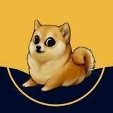 Paddy Doge Shilling Contest