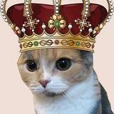 Cat King Token Official Group