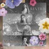 Reverie Maidens.