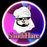 Saudi Hare