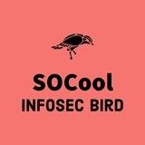 SOCool - Информационная безопасность, Threat Intelligence, Threat hunting, APT