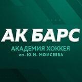 «Академия хоккея Ак Барс»