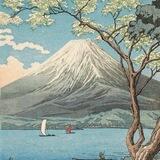 YAMA RESEARCH
