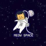 Meow Space
