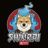 SHINRAI BUSDY | Safe Play with BUSD Rewards