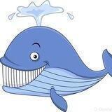 蓝鲸社区🐳