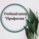 Professiya_ing