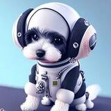BABY MARVIN | PORTAL