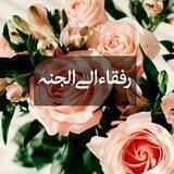 🌹رفقاء إلى الجنة 🌹