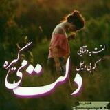 گپ با مرام ها