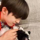 scoups.