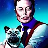 BullDogMusk