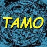 TAMO - Theorie aller Mindcontrol Opfer