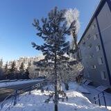 Народные инициативы-общественный контроль