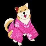 Asian Shiba Portal
