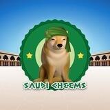 Saudi Cheems
