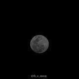 Moon🌙