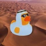 SAUDI DUCK INU