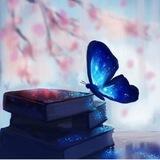 آلَفــــــرآشـــــــه🦋