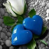 ✨❤️‍🔥❤️‍🔥❤️‍🔥❤️‍🔥❤️‍🔥💛قلب های بی قرار 💛❤️‍🔥❤️‍🔥❤️‍🔥❤️‍🔥❤️‍🔥
