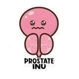 Prostate Inu Portal
