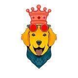 Smart DogeKing