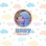 Baby PoodleFi