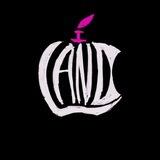 I-Land - Техника Apple Оптом