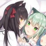 Matsuri & Nekoray 讨论群